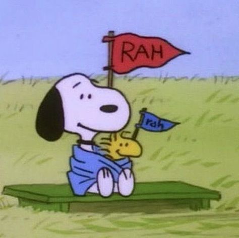 Snoopy Cartoon, Snoopy Images, Snoopy Wallpaper, Snoopy Pictures, Snoop Dog, Joe Cool, Snoopy Love, Peanuts Gang, Cowboy Bebop