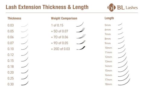 Eyelash Extensions Chart - BL Lash Extension Supplier — BL Lashes Eyelash Mapping, Lash Manual, Lashes Styles, Types Of Eyelash Extensions, Lash Course, Lash Room Ideas, Lash Extension Training, Lash Map, Lash Artist Tips