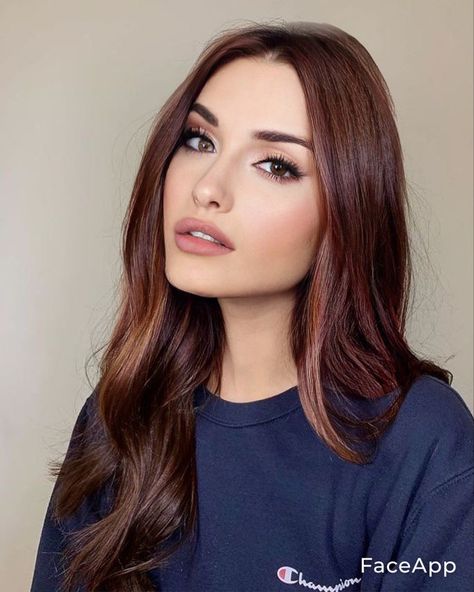 Red Brown Hair Hazel Eyes, Red Hair For Brown Eyes Olive Skin, Auburn Hair Color Brown Eyes, Brownish Reddish Hair, Red Brown Hair Color Blue Eyes, Brown Eyes And Auburn Hair, Subtle Red Hair Brown, Auburn Brown Hair Fair Skin, Auburn Hair Dark Eyebrows