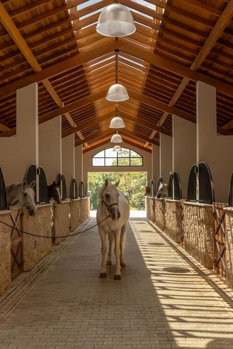 Gallery of Haras DOM / Per Cavalli Arquitetura - 2 Horse Stables Design, Luxury Horse Barns, Dream Barn Stables, Equestrian Barns, Stable Style, Horse Barn Ideas Stables, Dream Horse Barns, Dream Stables, Horse Barn Ideas