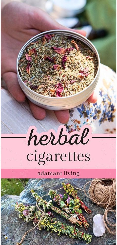 A deep dive into the fascinating world of medicinal herbs, this resource reveals the art of crafting Herbal Cigarettes. Rich with insights about smokable herbs and plants, it provides a thorough understanding of these alternative herbal remedies. Explore the range of Herbal Smoking Blends and learn about their distinctive characteristics and potential health benefits. Smokable Herbs Diy, Smokable Herb Blends, Medicinal Herbs Recipes, Herb Crafts, Smokable Herbs, Medicinal Herbs Remedies, Herb Diy, Herbal Medicine Recipes, Herbs And Plants