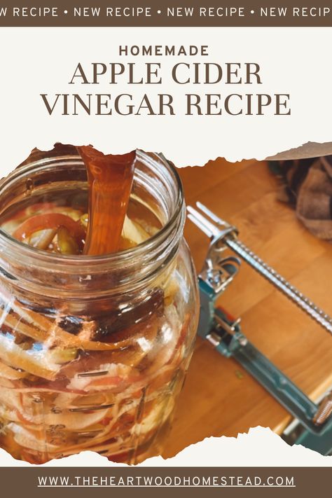 How to Make Homemade Apple Cider Vinegar: Easiest Recipe Apple Cider Vinegar Diy, Beginner Sourdough Bread, Apple Scraps, Homemade Apple Cider Vinegar, Beginner Sourdough, Diy Apple Cider, Making Apple Cider, Make Apple Cider Vinegar, Apple Cider Vinegar Recipes