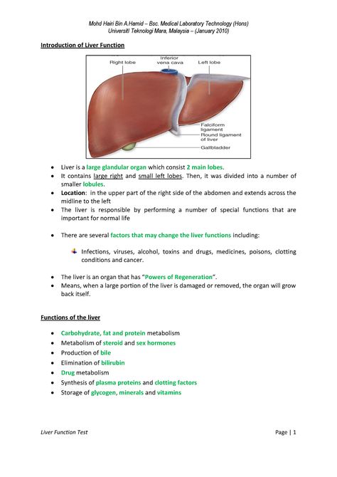 76879668 Liver Function Test - UniversitI Teknologi Mara, Malaysia – (January 2010) Introduction of - StuDocu Liver Notes Anatomy, Liver Function Test Notes, Biology Hacks, Liver Notes, Mlt Notes, Medical Sonography Student, Diagnostic Medical Sonography Student, Bilirubin Levels, Liver Function Test