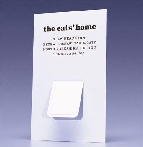 Cat Flap Unique Business Card Ideas, Unusual Business Card, Easily Forgotten, Cute Business Cards, Creative Business Cards, Cat Flap, Beautiful Business Card, Double Sided Business Cards, Unique Business Card