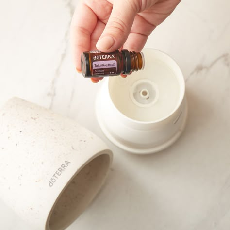 Life Stressors, Doterra Diffuser, Essential Oil Education, Doterra Business, Oil Well, Holistic Approach To Health, Holy Basil, Herbal Teas, Search Bar