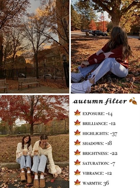 Fall Filter, Jungle Photo, Photo Hacks, Filter Photo, Vintage Photo Editing, Phone Photo Editing, Learn Photo Editing, Photography Filters, Photo Editing Techniques