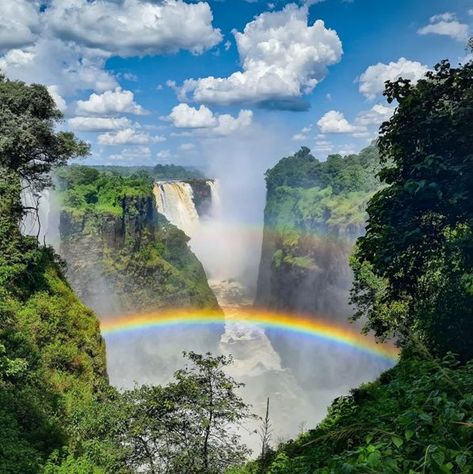 Victoria Falls awaits to take you on an adventure of a lifetime! Picture yourself being drenched by the spray of the mighty Victoria Falls, or out exploring the African bush in a land cruiser when suddenly you come across a large herd of majestic elephant only meters away. To know more visit us @ https://falconsafaris.com/victoria-falls-tours-and-activities #Africa #River #Victoriafalls #Victoriafallsbridge #Victoriafallsbungee #Victoriafallshotel #Victoriafallstown #Victoriafallszambia Victoria Falls Zambia, Majestic Elephant, Africa Tour, Victoria Falls, Luxury Camping, Fall Watercolor, Southern Africa, Tour Operator, Africa Travel