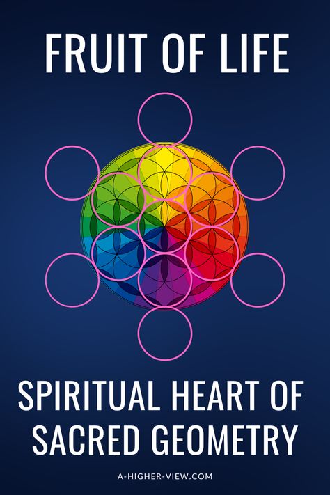 At the heart of sacred geometry, the Fruit of Life encapsulates the essence of creation, unity, and spiritual interconnectedness. Like a secret code written in geometric form, it invites us to decipher its hidden messages, beckoning us to explore the profound spiritual teachings it holds. #sacredgeometry #sacredgeometrysymbols #symbolsandmeanings #sacredgeometrysymbolsandmeanings #fruitoflife Fruit Of Life Geometry, Sacred Geometry Meanings, Sacred Geometric Pattern, Crystals Healing Grids, Symbols And Their Meanings, Spiritual Heart, Mathematics Art, Star Seed, Geometry Symbols