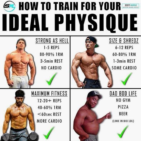 Muscle Workout Plan, Lean Muscle Workout, Fitness Studio Training, Muscle Hypertrophy, Trening Sztuk Walki, Gym Antrenmanları, Muscle Workout, Trening Fitness, Weight Training Workouts