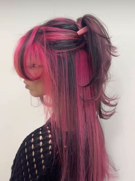 Pink Hair Highlights, Calico Hair, Pink And Black Hair, Skunk Hair, Hair Inspiration Long, Hair Color Streaks, Hair Streaks, Dyed Hair Inspiration, Pink Highlights