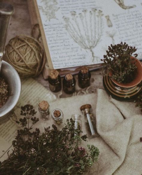 Herbalist Witch Aesthetic, Green Witch Photography, Witchy Tea Aesthetic, Healing Plants Aesthetic, Herbs And Spices Aesthetic, Herbs Aesthetic Witch, Herbology Wallpaper Aesthetic, Dark Herbalist Aesthetic, Witchy Nature Aesthetic