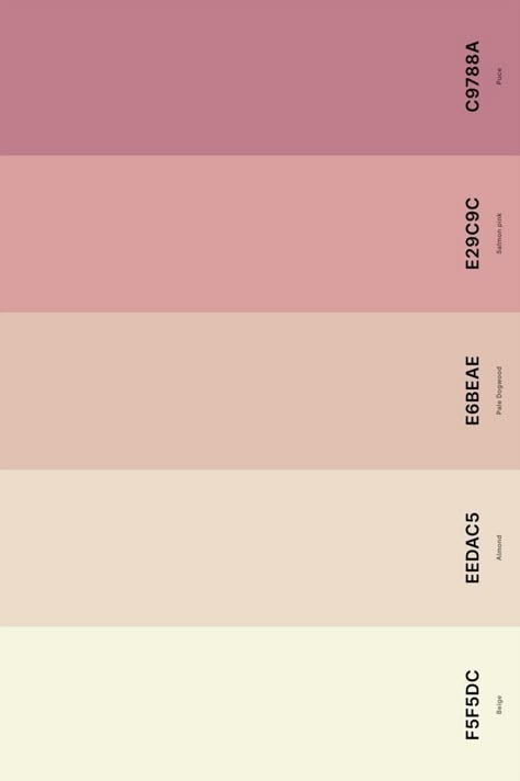 Light Pink Pallet, Pink Beige Colour Palette, Cream Pink Color Palette, Pale Colour Palette, Pale Pink Colour Palette, Beige And Pink Palette, Pale Pink Palette, Pink Beige Palette, Beige And Pink Color Palette