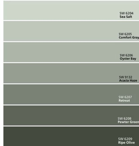 Colour Palette For Architecture Sheets, Green Gray Color Palette, Green And Gray Color Palette, Tree Color Palette, Colour Names, Skillion Roof, Packaging Concept, Colour Architecture, Green Sheets