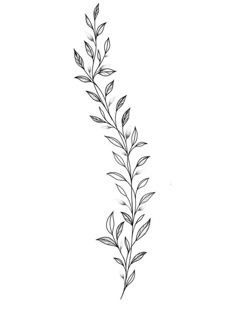 Dainty Vine Tattoo, Garland Tattoo, Leaf Vine Tattoo, Vine Tattoo Stencil, Ramos Tattoo, Tattoos Forearm, Vine Tattoo, Tattoo Background, Stylish Tattoo