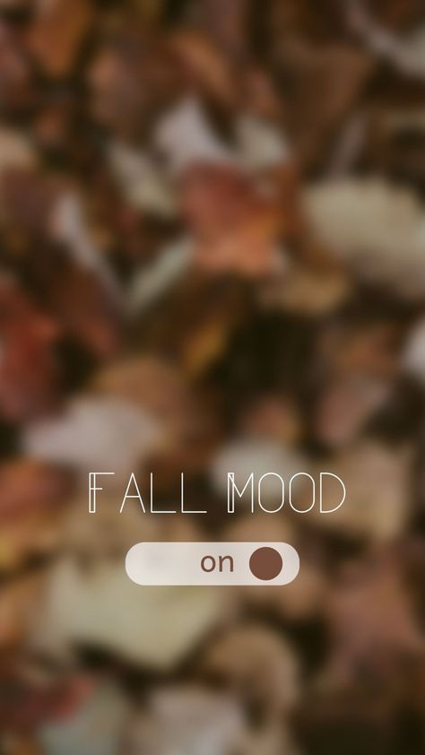 Fall Time Aesthetic Wallpaper, Fall Insta Story Background, Happy Autumn Aesthetic, Clean Girl Fall Aesthetic Wallpaper, October Ig Story, October Aesthetic Instagram, Fall Inspo Wallpaper, Aesthetic Fall Pictures For Instagram, Autumn Brown Aesthetic