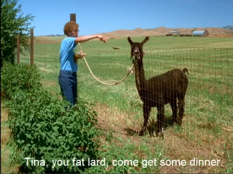 Napoleon Dynamite. Tina, you fat lard, come and get some dinner. Napoleon Dynamite Characters, Napoleon Dynamite Quotes, Funny Movie Lines, Napoleon Dynamite, Film Ideas, Movie Lines, Funny Movies, Great Movies, Bones Funny