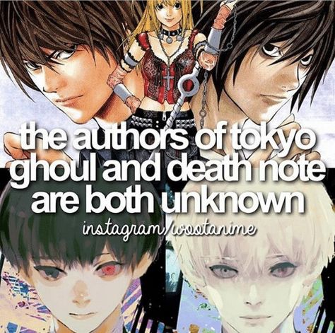 It makes the series even more interesting. At least, to me it does. Anime Facts, Sui Ishida, Anime Rules, Touka Kirishima, Ken Tokyo Ghoul, Tokyo Ghoul Kaneki, Kaneki Ken, A Silent Voice, Anime Things