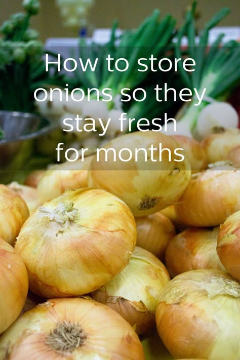 How To Hide Greens In Food, Preserving Onions Food Storage, Onion Storage Ideas How To Store, How To Store Potatoes And Onions In Pantry, How To Dry Onions, How To Dry Onions For Storage, Storing Fresh Produce, How To Keep Onions Fresh How To Store, Diy Onion Storage