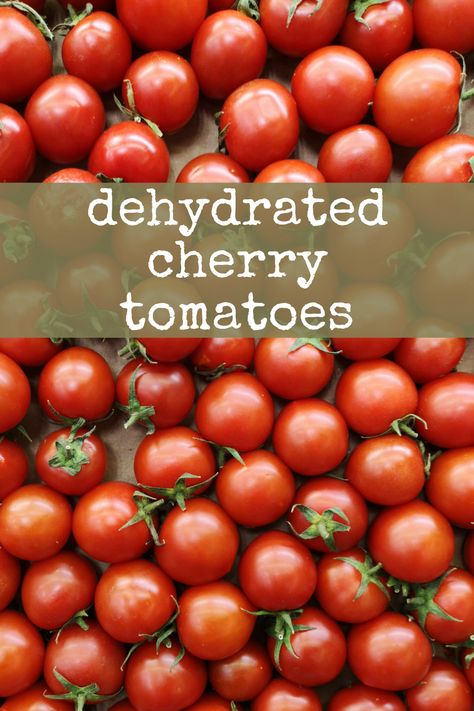 Did you know you can easily dehydrate your tomatoes at home for long term food storage?   dehydrator recipes, food dehydrator, dehydrating tomatoes, dehydrated fruit, dehydrated snacks Recipes For Dehydrator, Fruit Dehydrator Recipes, Dehydrated Squash, Dehydrate Tomatoes, Food Dehydrator Recipes, Dehydrated Tomatoes, Dehydrated Snacks, Dehydrating Tomatoes, Dehydrating Vegetables