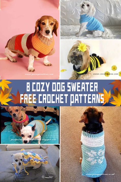 Crochet Pet Patterns, Crocheted Dog Sweaters, Dachshund Dog Sweaters, Cat Treats Recipes, Crochet Dog Sweaters, Crochet Dog Sweater Free Pattern, Sweater Crochet Patterns, Sweater Hats, Dog Sweater Crochet