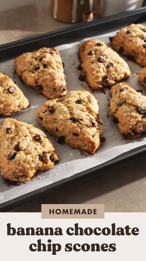 These banana chocolate chip scones are never dry thanks to the mashed banana in them. They're an extra decadent breakfast or snack with the melty chocolate chips sprinkled throughout. Banana Scones Recipe, Matcha Scones, Decadent Breakfast, Banana Scones, Chocolate Chip Scones, Raspberry Scones, Sweet Tooth Recipes, Thyme Recipes, White Chocolate Raspberry