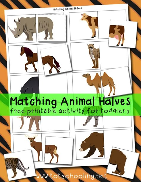 Great for distributing to students to find their pairs/partners !  Plus, it's free! - Matching Animal Halves Free Printable Farm Week, Zoo Preschool, Zoo Activities, Folder Activities, Dear Zoo, Zoo Theme, File Folder Activities, Free Printable Activities, File Folder Games