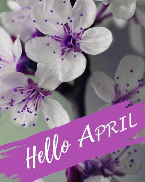 Welcome April April Wallpapers Aesthetic, New Month Greetings, April Wallpapers, April Images, Hello New Month, April Wallpaper, New Month Wishes, April Quotes, New Month Quotes