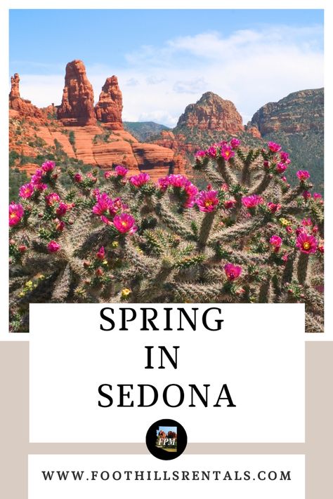 Spring is perhaps the most popular time to visit Sedona! After the cold winter months, guests embrace our warm moderate temperatures, and the natural beauty of the Verde Valley! Outdoor activites are most popular during the months of March through May and there are a number of them to enjoy while you are visiting. Sedona In March, Visit Sedona, March Month, Activities To Do, Sedona, Winter Months, Cold Winter, Spring Time, Grand Canyon