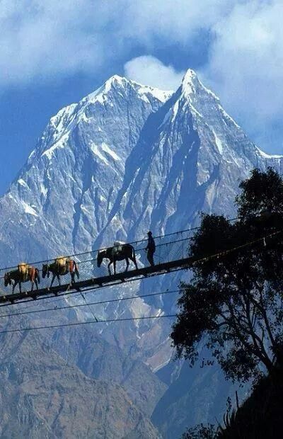 Nepal Himalayas Nepal, Monte Everest, Nepal Culture, Travel Nepal, Nepal Travel, The Himalayas, Bhutan, India Travel, Asia Travel