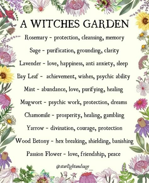 Witches Garden, Witchy Garden, Witch Herbs, Green Witchcraft, Magia Das Ervas, Witch Garden, Magic Spell Book, Magic Herbs, Witchy Tips