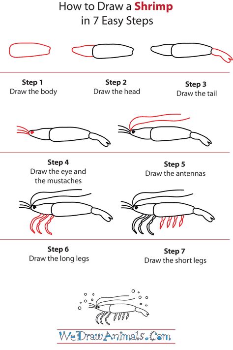 (2017-05) ... en reje How To Draw A Shrimp, Shrimp Drawing Simple, Shrimp Drawing, Shrimp Doodle Art, Cartoon Shrimp, Shrimp Illustration Cute, Shrimp Illustration Design, Palm Frond Art, Basket Drawing