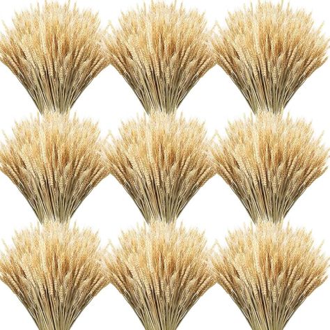 Amazon.com: Geosar 600 Stems Dried Wheat Sheaves Natural Wheat Stalks Bundle Fall Arrangement Artificial Flowers Arrangement Farmhouse for DIY Wedding Table Home Centerpieces Party Decorative(17.7 Inch) : Home & Kitchen Wheat Decorations Decorating Ideas, Wheat Centerpieces Table Arrangements, Home Centerpieces, Wheat Decorations, Wheat Centerpieces, Centerpieces Party, Dried Wheat, Wheat Sheaf, Diy Wedding Table