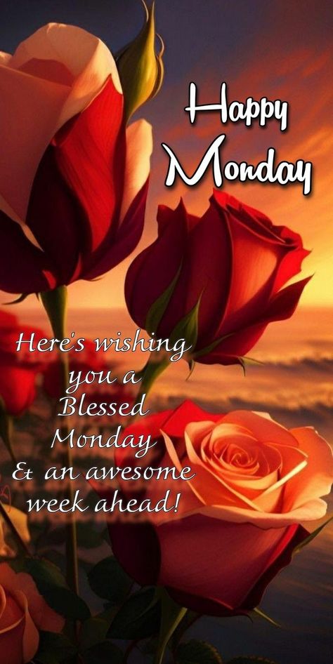 Monday Morning Greetings, Monday Morning Blessing, Happy Monday Images, Monday Wishes, Good Morning Monday Images, Happy Monday Quotes, Inspirational Good Morning Messages, Good Monday Morning, Happy Day Quotes