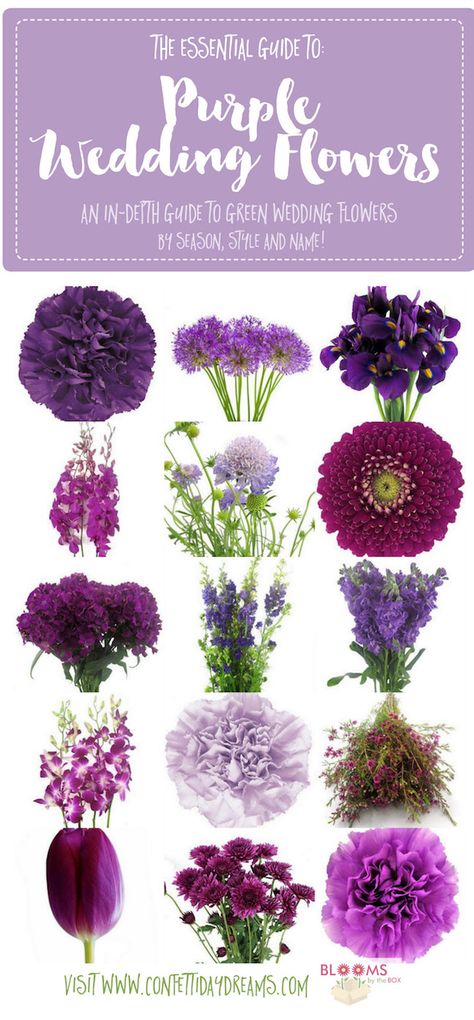 Get purple wedding flower names and ideas with pics + seasons. Save the purple flower guide: http://www.confettidaydreams.com/purple-wedding-flowers-names/ Purple Wedding Flowers Bouquet, Purple Wedding Flowers Centerpieces, Purple Flower Names, Purple Centerpieces, Wedding Flower Guide, Dark Purple Flowers, Green Wedding Flowers, Light Purple Flowers, Purple Stuff