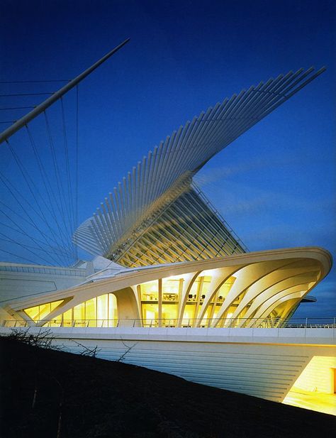 Milwaukee Art Museum Milwaukee Art Museum, Milwaukee Art, People People, Milwaukee, Art Museum, Cityscape, Roof, Architecture, Quick Saves