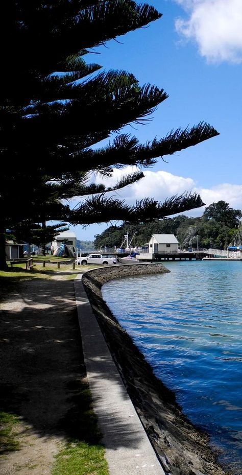 Whitianga harbour - NZ Whitianga New Zealand, Beautiful New Zealand, Invisible Cities, Travel New Zealand, Tiger Pictures, Life Vision Board, Year 11, Life Vision, Food Experiences