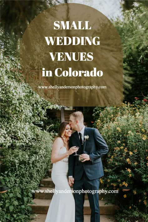 Colorado Wedding Inspiration, Estes Park Colorado Wedding Venues, Micro Wedding Ideas Colorado, Colorado Small Wedding Venues, Micro Colorado Wedding, Weddings In Colorado, Intimate Wedding Colorado, Intimate Mountain Wedding Colorado, Aspen Colorado Elopement