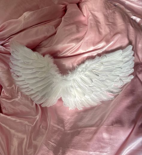 selkie white angel wings on a pink satin blanket, the sun is shining on half of the wings. Angel Aesthetic Outfit, Angel Core Outfit, Angel Wings Halloween, Tumblr Vibes, Love Core, Rosé Halloween, Streetwear Luxury, Satin Blanket, Diy Angel Wings