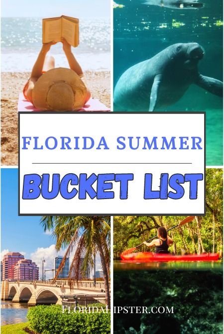 The Ultimate Florida Summer Bucket List: 15 Things You Can’t Miss in 2024!  - Florida Hipster Summer In Florida, Florida Bucket List, Kids Summer Bucket List, Ultimate Summer Bucket List, Busch Gardens Tampa Bay, Travel Key West, Florida Beach House, Busch Gardens Tampa, Glass Bottom Boat