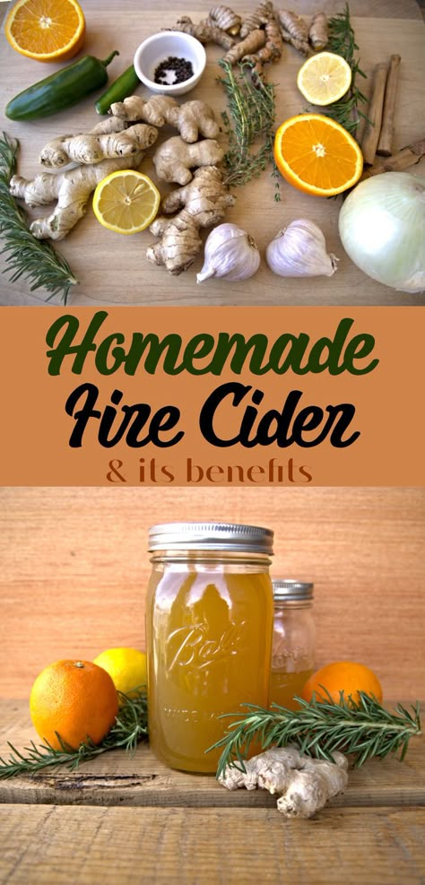 A recipe for how to make fire cider Fire Cider Recipe, Herbal Medicine Recipes, Herbal Tonic, Diy Herbal Remedies, Herbal Remedies Recipes, Coconut Bowls, Fire Cider, Cider Recipe, How To Make Fire