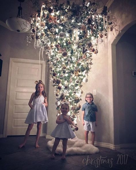 Upside-Down Christmas Trees Sound ... Upside Down Tree, Ladder Christmas Tree, Upside Down Christmas Tree, Christmas Tree Festival, Christmas Tree Inspo, Matching Pictures, Dollar Tree Halloween, Silver Christmas Decorations, Pink And Black Christmas Tree