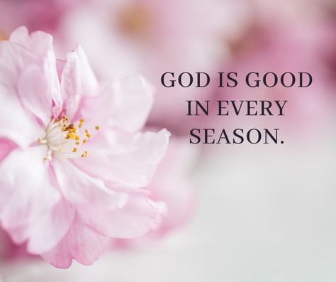 Life is a combination of contrasting seasons. There are seasons of trials and testing; and seasons of laughter and mourning. Life is constantly evolving and changing. So, whatever you're facing today, hold fast to this truth: God is good all the time. Seasons change, but God remains both loving and powerful. God Is My Anchor, Jesus Father, Spirit Love, Fast Quotes, God Is Awesome, Godly Dating, Church Signs, Women Of God, Bible Women