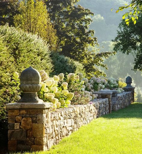 Iceberg Roses, Stone Walls Garden, Veranda Magazine, Stone Fence, Walled Garden, Most Beautiful Gardens, Have Inspiration, The Secret Garden, Wall Garden