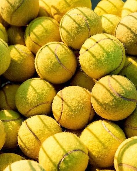 Grab your balls we are going to play Tennis 🎾 #Tennis #DimitriSportswear #tennisball #ByDimitri #sport Match Point, Pe Nation, Play Tennis, Tennis Balls, Tennis Ball, To Play, Tennis, Building, Yellow