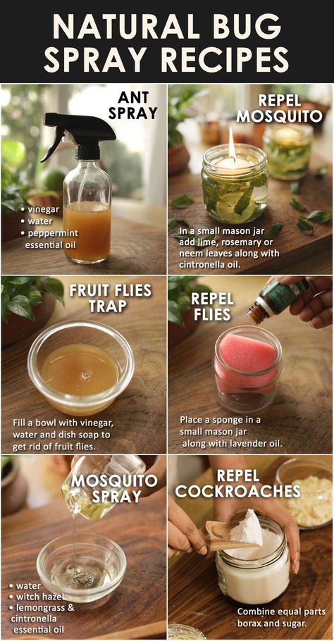 10 BEST delicious and healthy POPSICLE RECIPES - The Little Shine Natural Bug Spray Recipe, Retreat Decor, Diy Bug Repellent, Homemade Bug Spray, Ant Repellent, Bug Spray Recipe, Natural Bug Spray, Natural Bug Repellent, Natural Mosquito Repellant