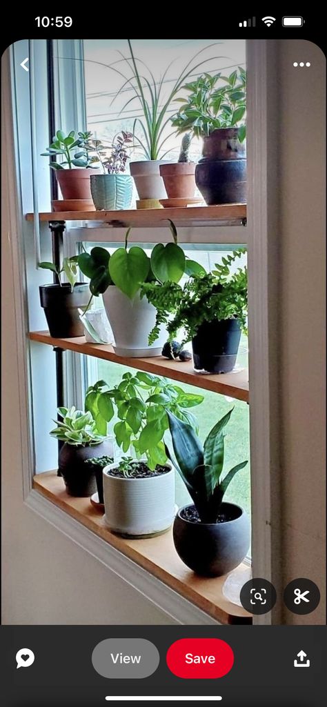 Window Plant Shelves Diy, Kitchen Window Plant Shelf, Kitchen Window Plants, Window Plant Shelves, Living Room With Plants, Window Shelves For Plants, Window Sill Plants, Shelves For Plants, Window Shelf For Plants