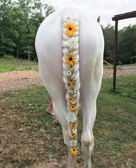 Horse Hairstyles, Mane Braids, Horse Mane Braids, Horse Braids, Arte Haida, Horse Hair Braiding, Horse Halloween Costumes, Horse Halloween, Horse Braiding