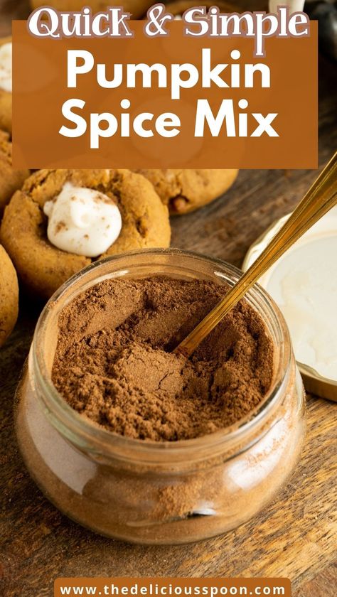 Make the best homemade pumpkin pie spice blend in just a few minutes with this easy recipe. Perfect for adding a rich, flavorful touch to your favorite fall dishes, this blend is a must-have for anyone who loves the cozy taste of autumn. With just a few common spices, you can have a delicious spice mix ready to go for all your baking needs. Mccormick Pumpkin Pie Spice Recipe, Pumpkin Spice Blend Recipe, Pumpkin Spice Homemade, Pumpkin Spice Seasoning Recipe, Pumpkin Pie Spice Mix Recipes, How To Make Pumpkin Spice, Pumpkin Spice Mix Recipe, Pumpkin Pie Spice Recipe Homemade, Pumpkin Spice Recipes Easy