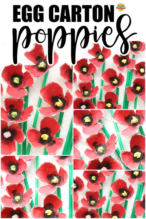 Easy egg carton poppies for kids to make and use for Veteran's Day and Remembrance Day crafts and art projects. #HappyHooligans #EggCarton #Poppy #Craft #Poppies #RemembranceDay #VeteransDay #November11 #Kids #Crafts #Art #AnzacDay Remembrance Day Crafts For Kids, Remembrance Day Crafts, Poppy Craft For Kids, Poppy Crafts, Remembrance Day Activities, Remembrance Day Art, Flowers Paper Craft, Flower Wall Decoration, Poppy Craft