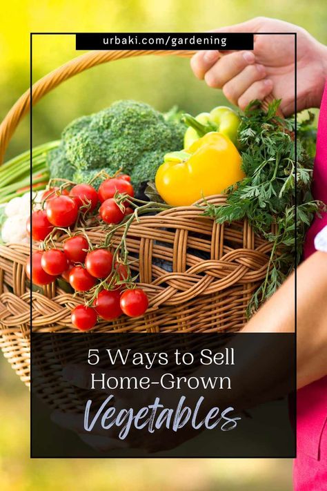 Your thriving vegetable garden has produced an abundance of fresh, organic produce, and now you're eager to share it with your community while earning some extra income. In this informative article, we'll explore five effective strategies to sell your home-grown vegetables, each with its unique advantages and considerations. Whether you're a seasoned gardener with years of experience or new to the world of selling produce, these valuable strategies will help you connect with eager buyers and... Selling Vegetables From Home, Community Supported Agriculture, Home Grown Vegetables, What To Sell, Bountiful Harvest, Farm Stand, Organic Produce, Locally Grown, Extra Income